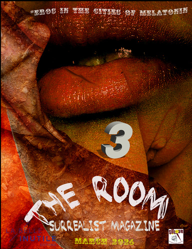 The Room surrealist Magazine (third issue)