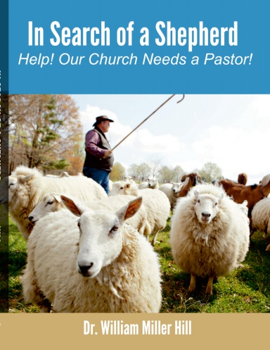 In Search of a Shepherd