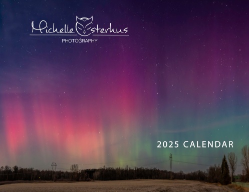 Ramsey MN 2025
