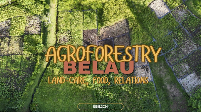 Belau Agroforestry and Foods Systems