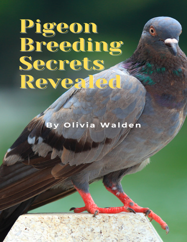 Pigeon Breeding Secrets Revealed
