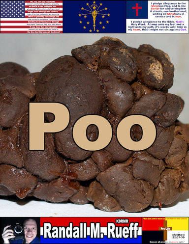 Poo