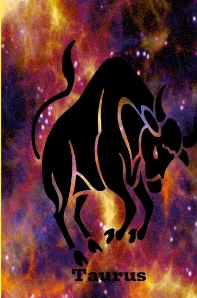 Taurus Multi