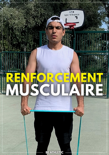 Programme de Renforcement Musculaire avec Bandes Élastiques