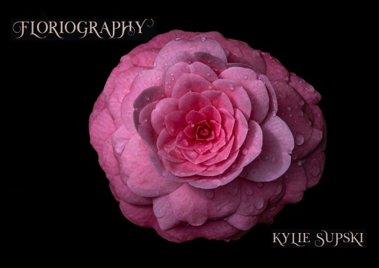 FLORIOGRAPHY | PHOTO BOOK