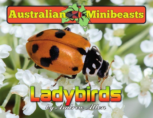 Ladybirds