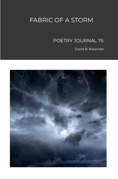 FABRIC OF A STORM