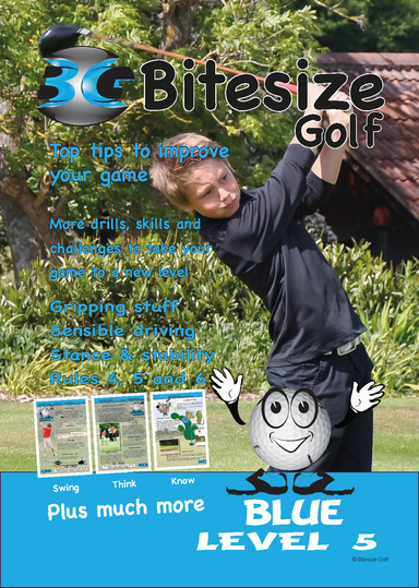 Blue Book Level 5