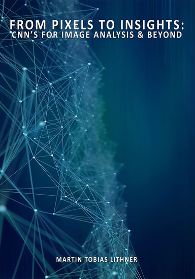 From Pixels To Insights