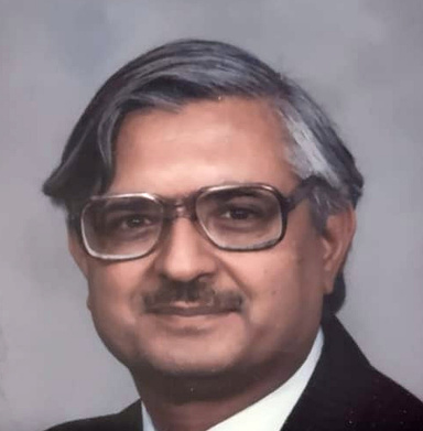 Image of Author Professor Surjit Singh, publisher and author