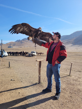 Image of Author David Stewart