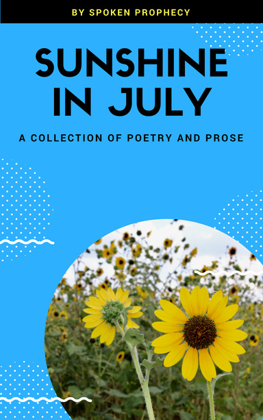 Sunshine in July (E-Book)