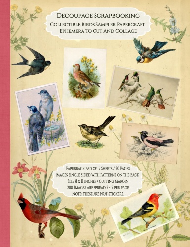 Decoupage Scrapbooking Collectible Birds Sampler Papercraft Ephemera To Cut And Collage