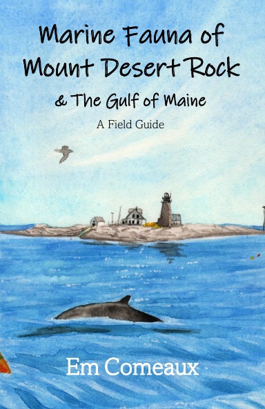Marine Fauna of Mount Desert Rock & The Gulf of Maine