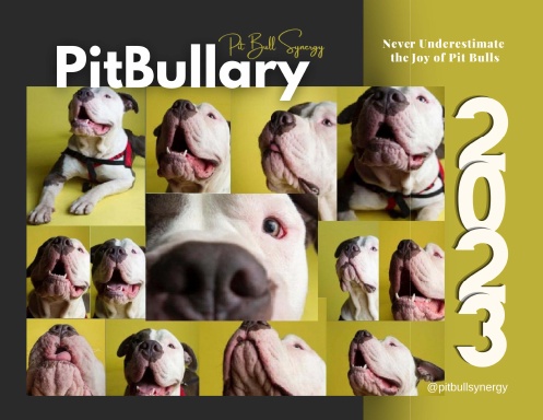 Rescue Pit Bull Calendar - PitBullary 2023
