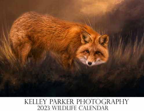 Kelley Parker Photography 2023 Wildlife Calendar