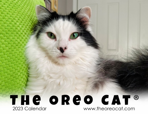 The Oreo Cat 2023 Calendar