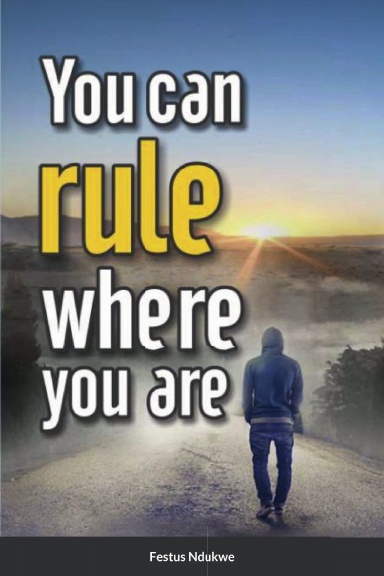 You Can Rule Where You Are - Paperback by Festus Ndukwe