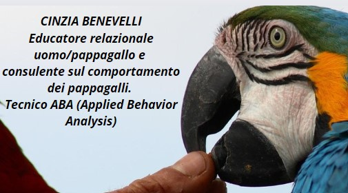 Image of Author cinzia benevelli