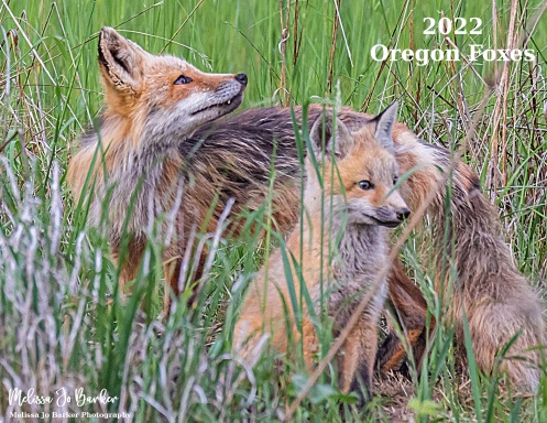 2022 Oregon Foxes