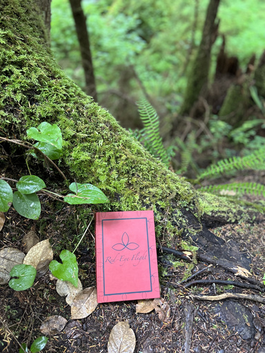 Image of Author MR JD