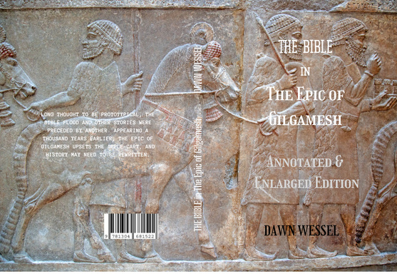 Image of Author Dawn Wessel