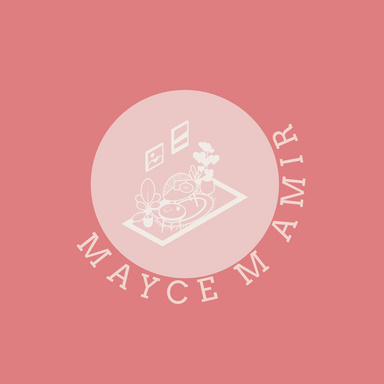 Image of Author Mayce Mazin Amir