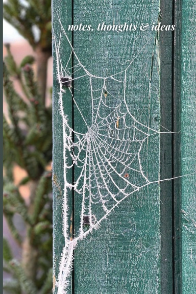 Frozen Web Notebook