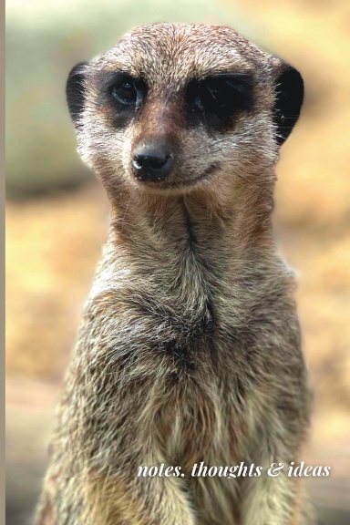 Meerkat Notebook