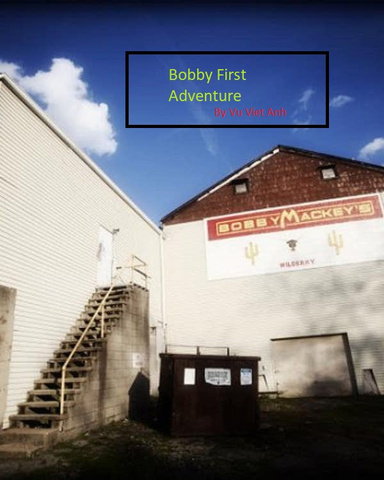 Bobby First Adventure