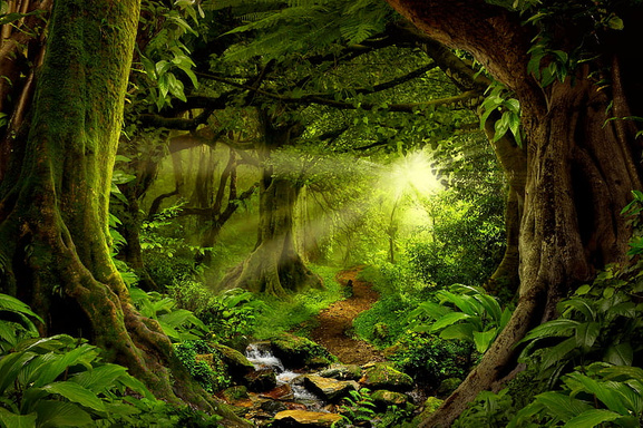 The Secret Garden Adventure