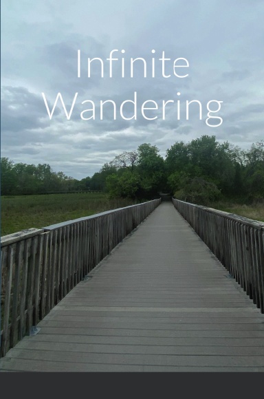 Infinite Wandering