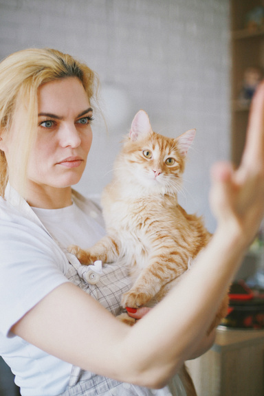 Curb Your Cat Ebook High Converting Cat Training Offer