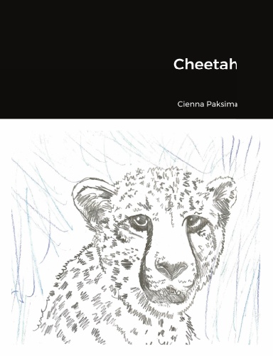 Cheetah