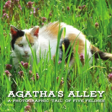 Agatha's Alley - Paperback Photobook Edition