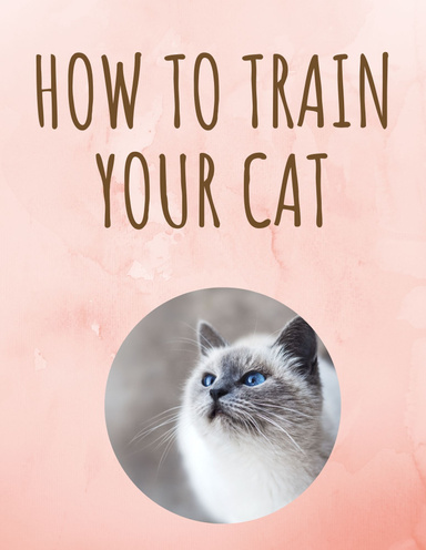how to train your cat