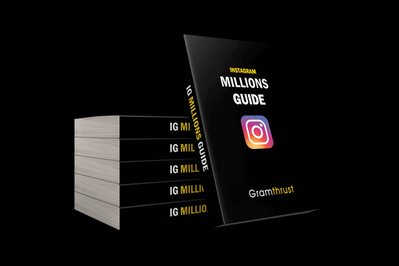 THE INSTAGRAM MILLIONS GUIDE