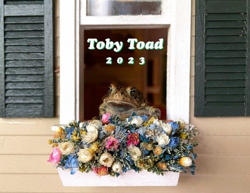 2023 Toby Toad Calendar