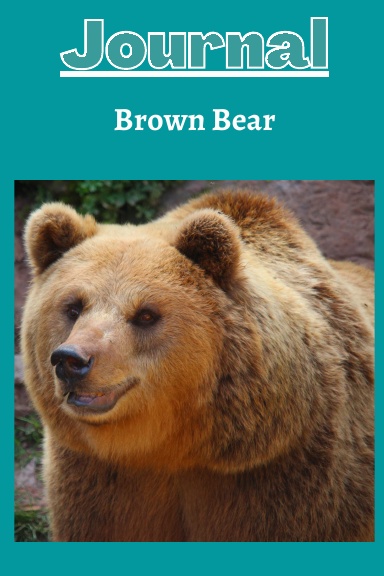 brown bear journal series 3 with a dark turquoise background