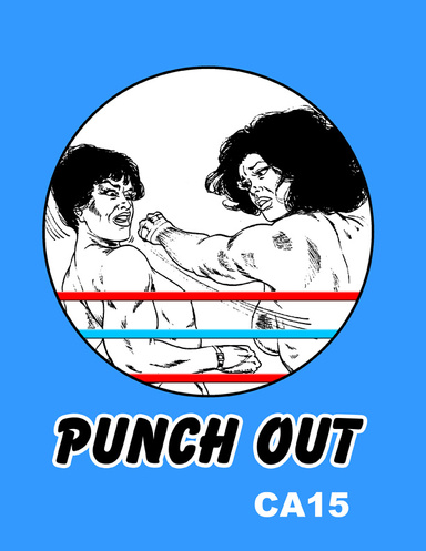 CA15 Punch Out