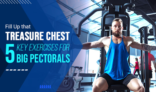 Sculpting a Powerful Chest: the Ultimate Workout for Pectoral Muscles