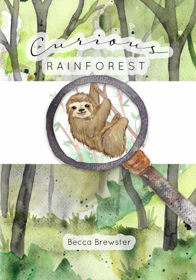 Curious Rainforest