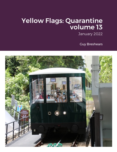 Yellow Flags: Quarantine volume 13