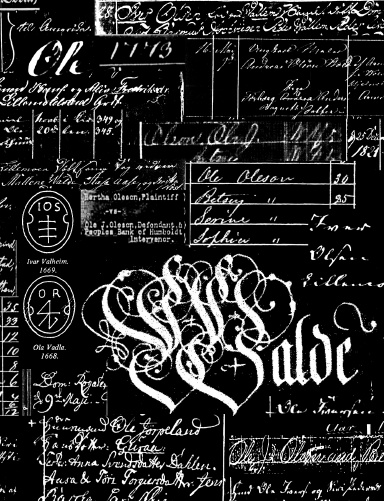 Wald Family Histories volume 2
