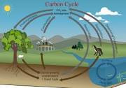 Carbon-free Transport