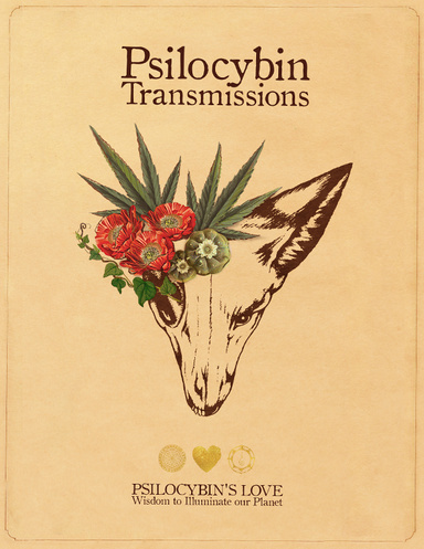 Psilocybin Transmissions