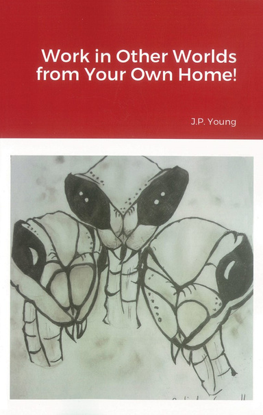 Work in Other Worlds from Your Own Home!