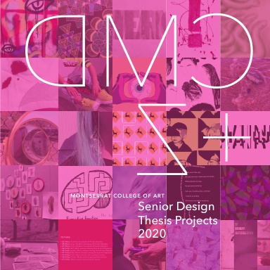 CMD+Z : Senior Design Thesis Projects 2020