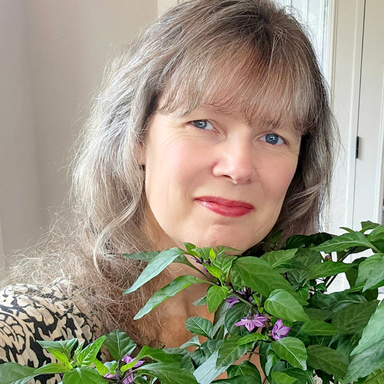 Image of Author Sonja N. Bohm