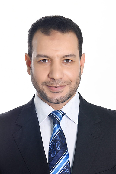 Image of Author Walid A. Elsayed